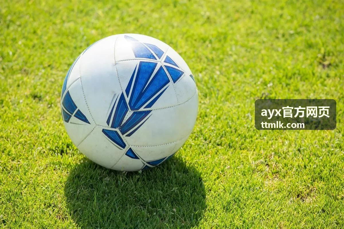 ayx官方网页审批流程与规则配置界面示意